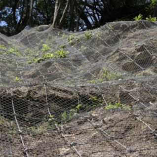 プラスネット・プラスネットハニー