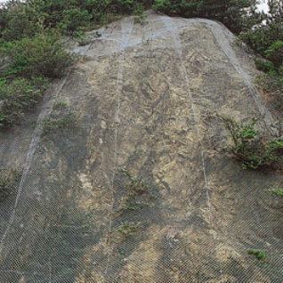 覆式ロックネット