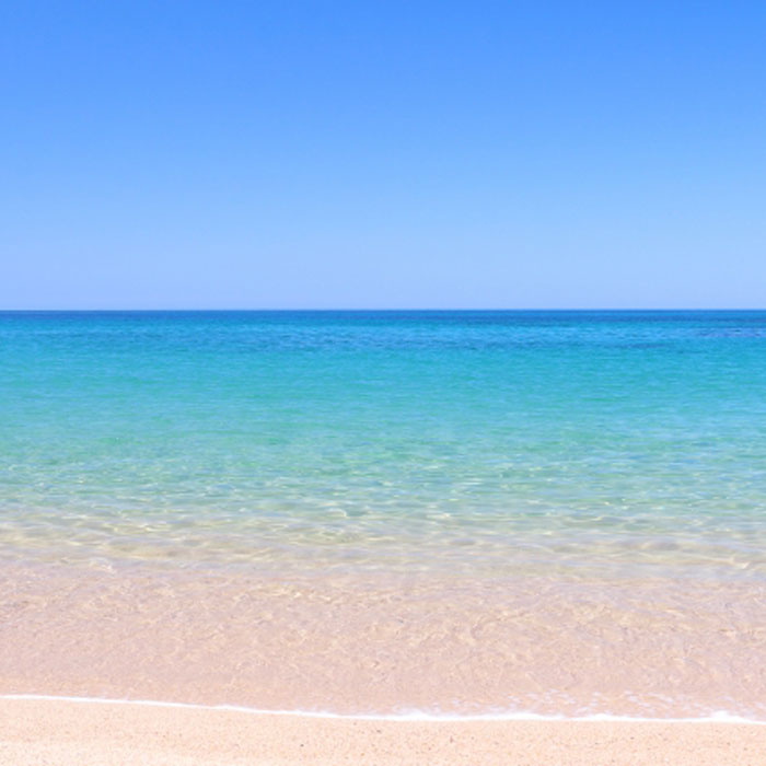 法面に設置された金網状の安全設備