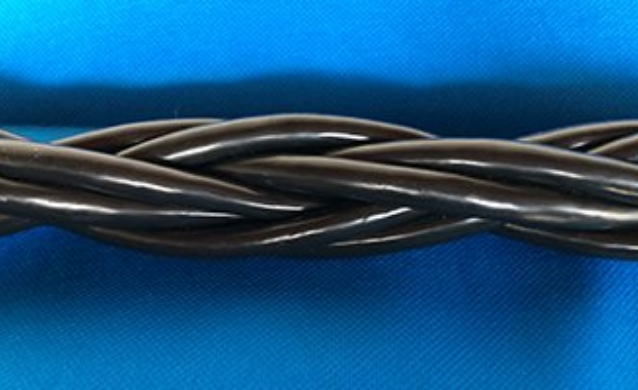 テトロンパラエイト