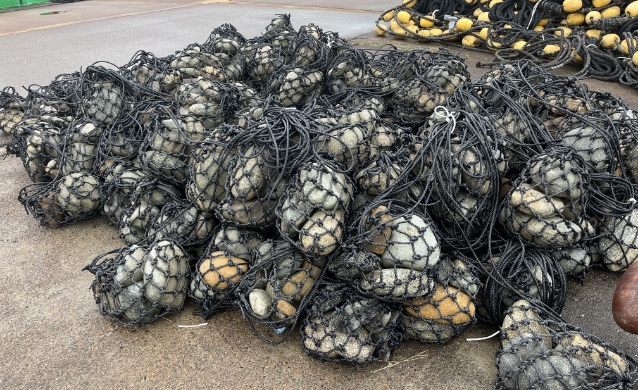 サンドバック（石袋）-4